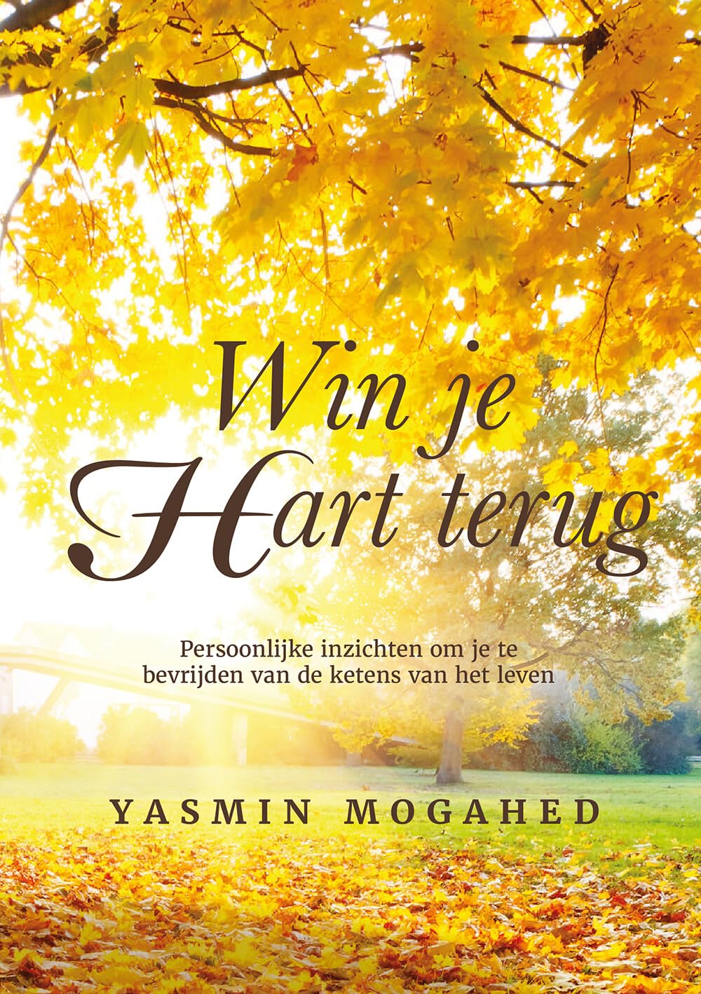 Win je hart terug: persoonlijke inzichten om je te bevrijden van de ketens van het leven Lifestyle
