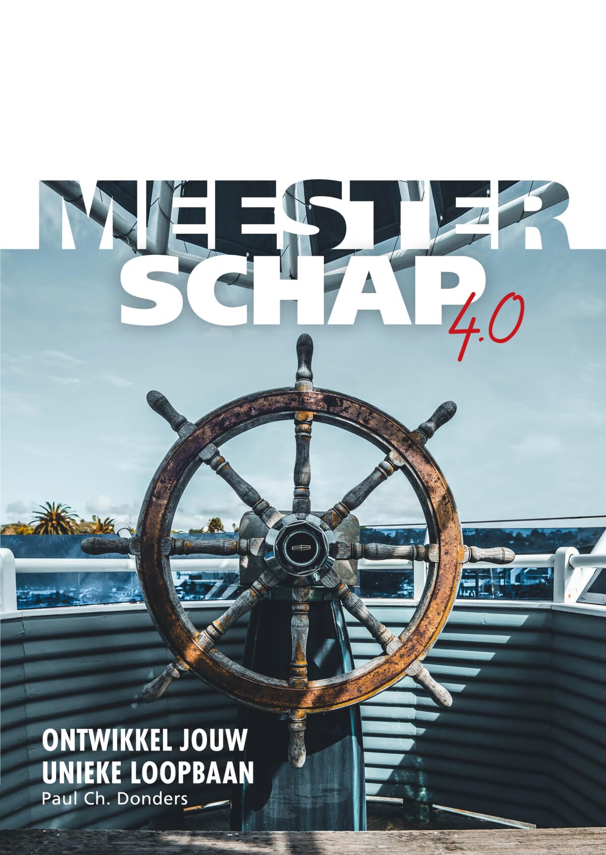 Meesterschap 4.0: Ontwikkel jouw unieke loopbaan book