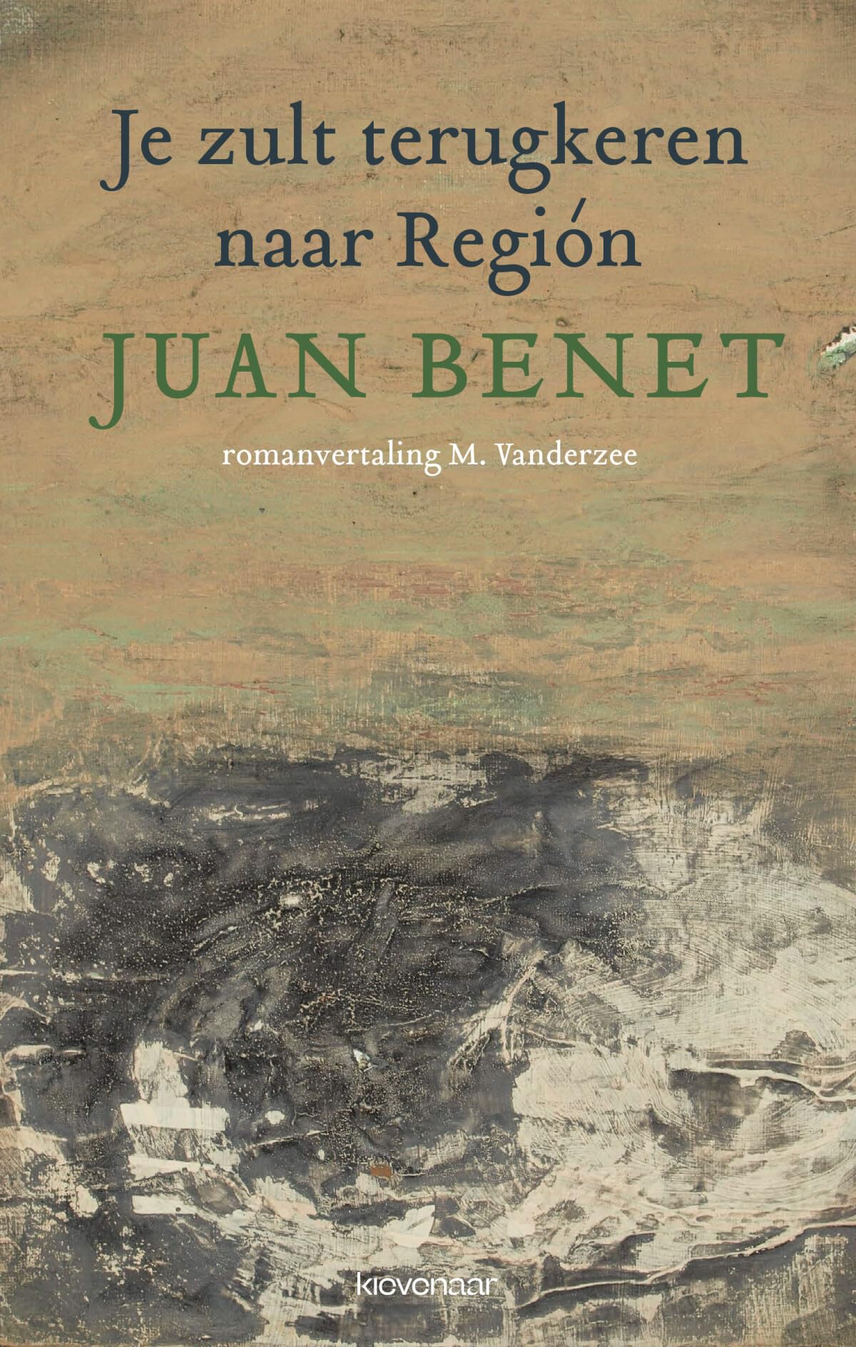 Je zult terugkeren naar Región: roman book
