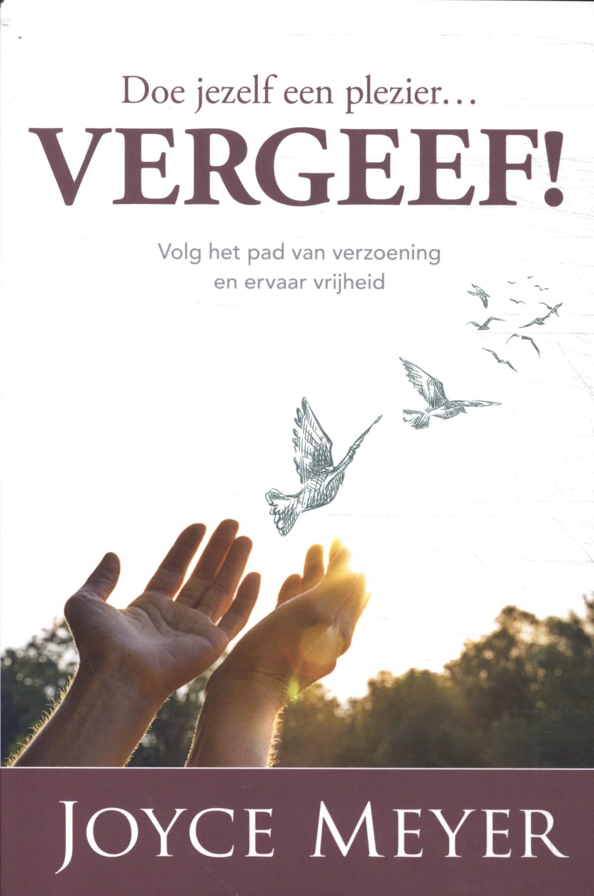 Doe jezelf een plezier...vergeef: Volg het pad van verzoening en ervaar vrijheid book