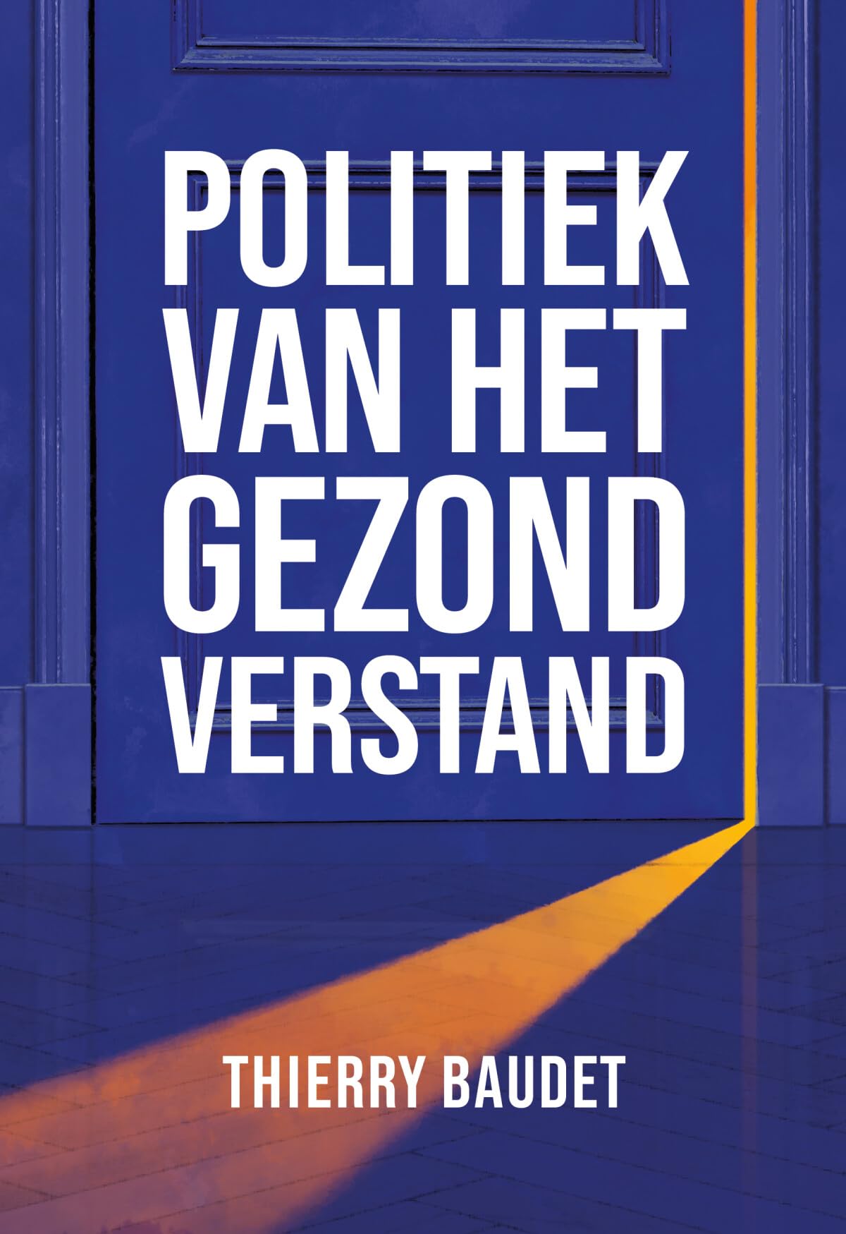 Politiek van het gezond verstand book
