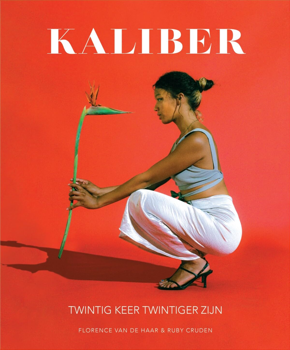 Kaliber: twintig keer twintiger zijn book