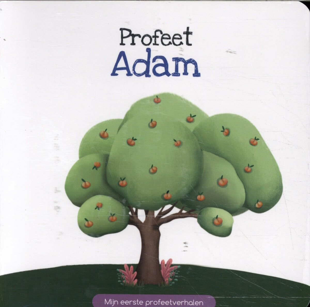 Profeet Adam (Mijn eerste profeetverhalen, 1) Religion & Esotericism