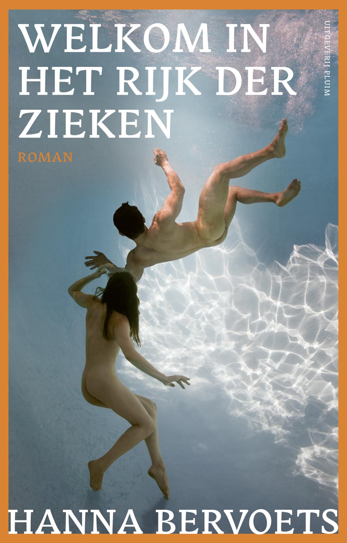 Welkom in het rijk der zieken book