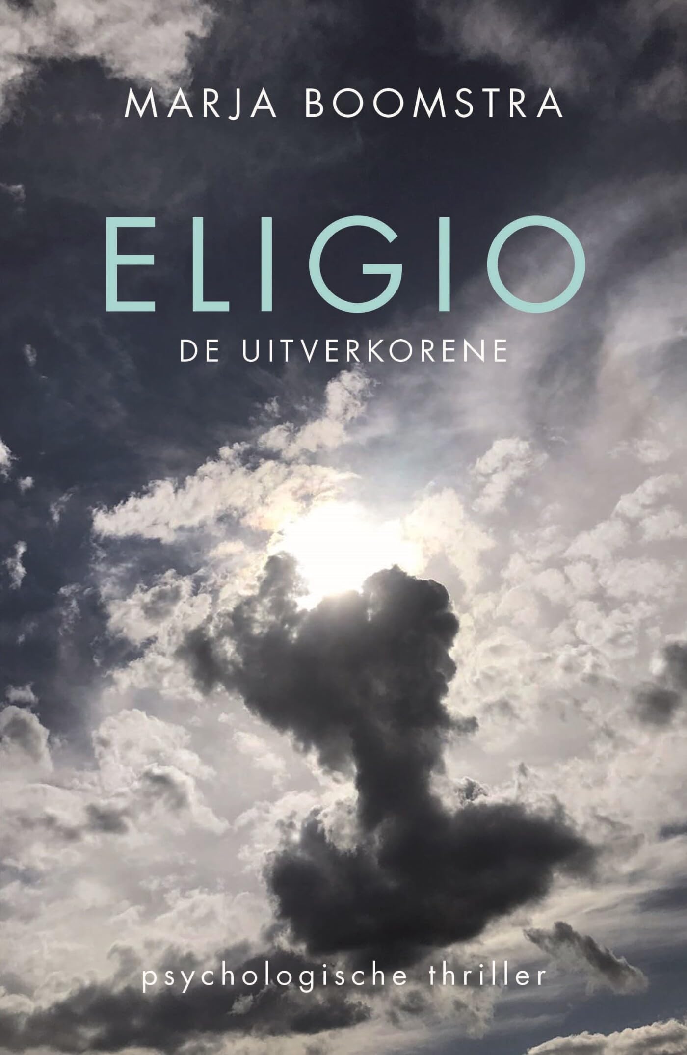 Eligio de uitverkorene: de uitverkorene book