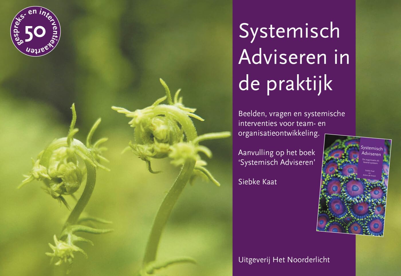 Systemisch Adviseren in de praktijk: Beelden, vragen en systemische interventies voor team- en organisatieontwikkeling Business, Finance & Career