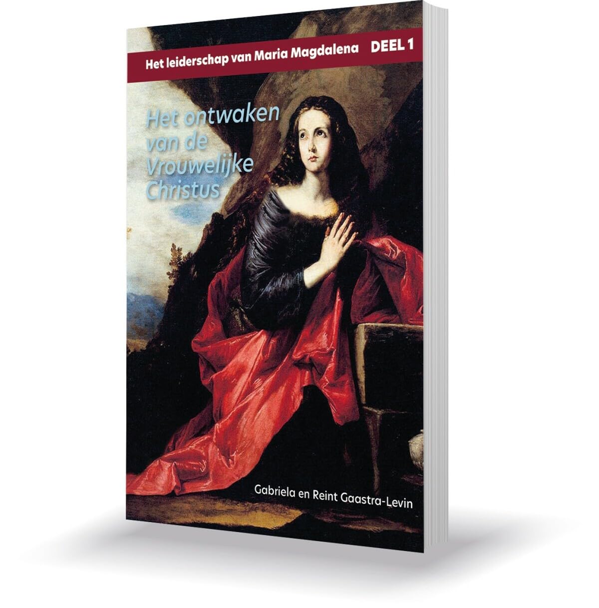 Het ontwaken van de Vrouwelijke Christus book