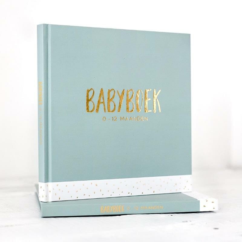Babyboek 0-12 maanden book