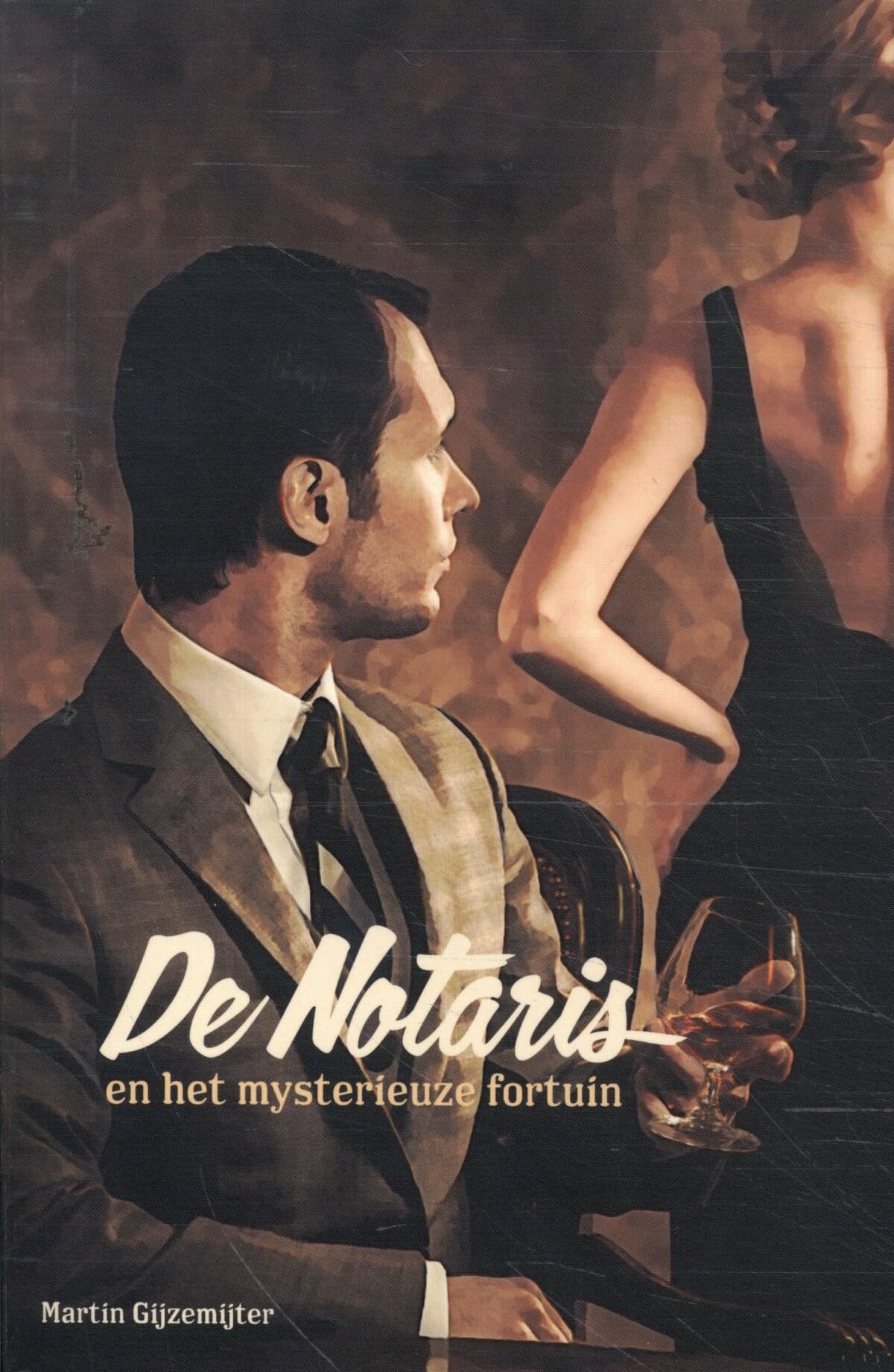 De Notaris en het mysterieuze fortuin book