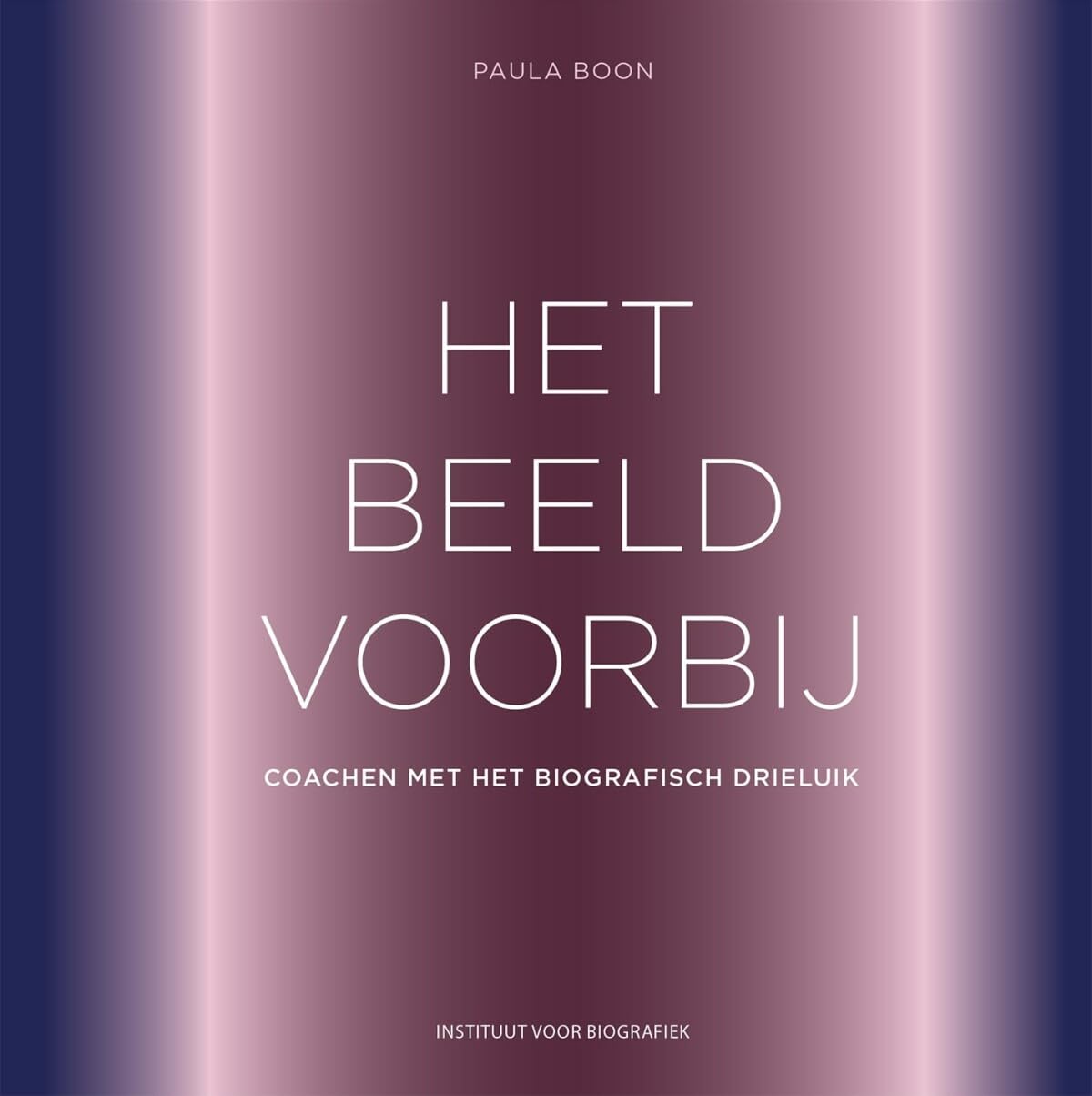 Het beeld voorbij: Coachen met het biografisch drieluik book