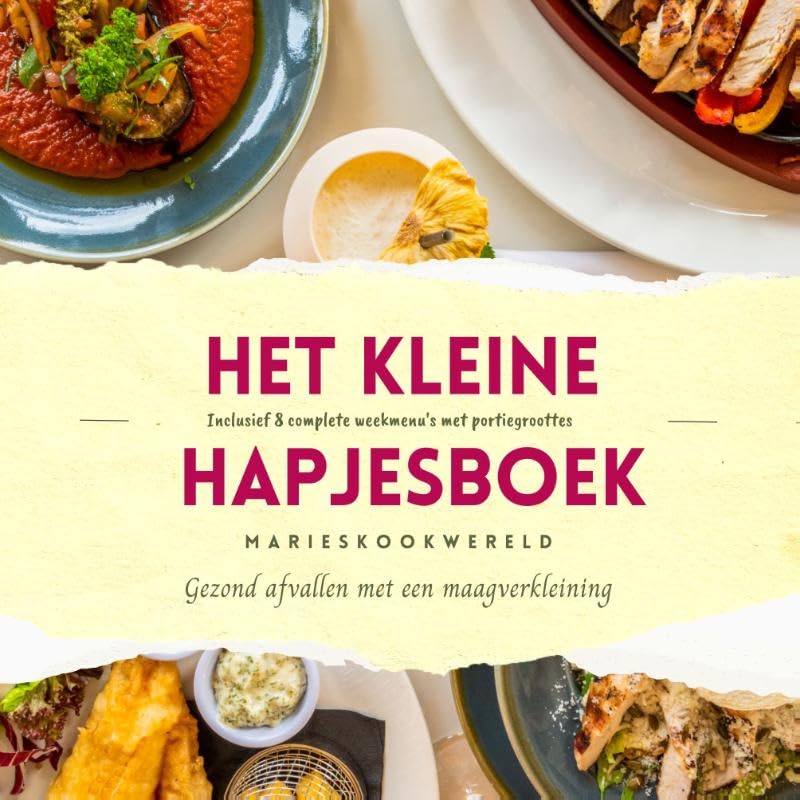 Het kleine hapjesboek na je maagverkleining book