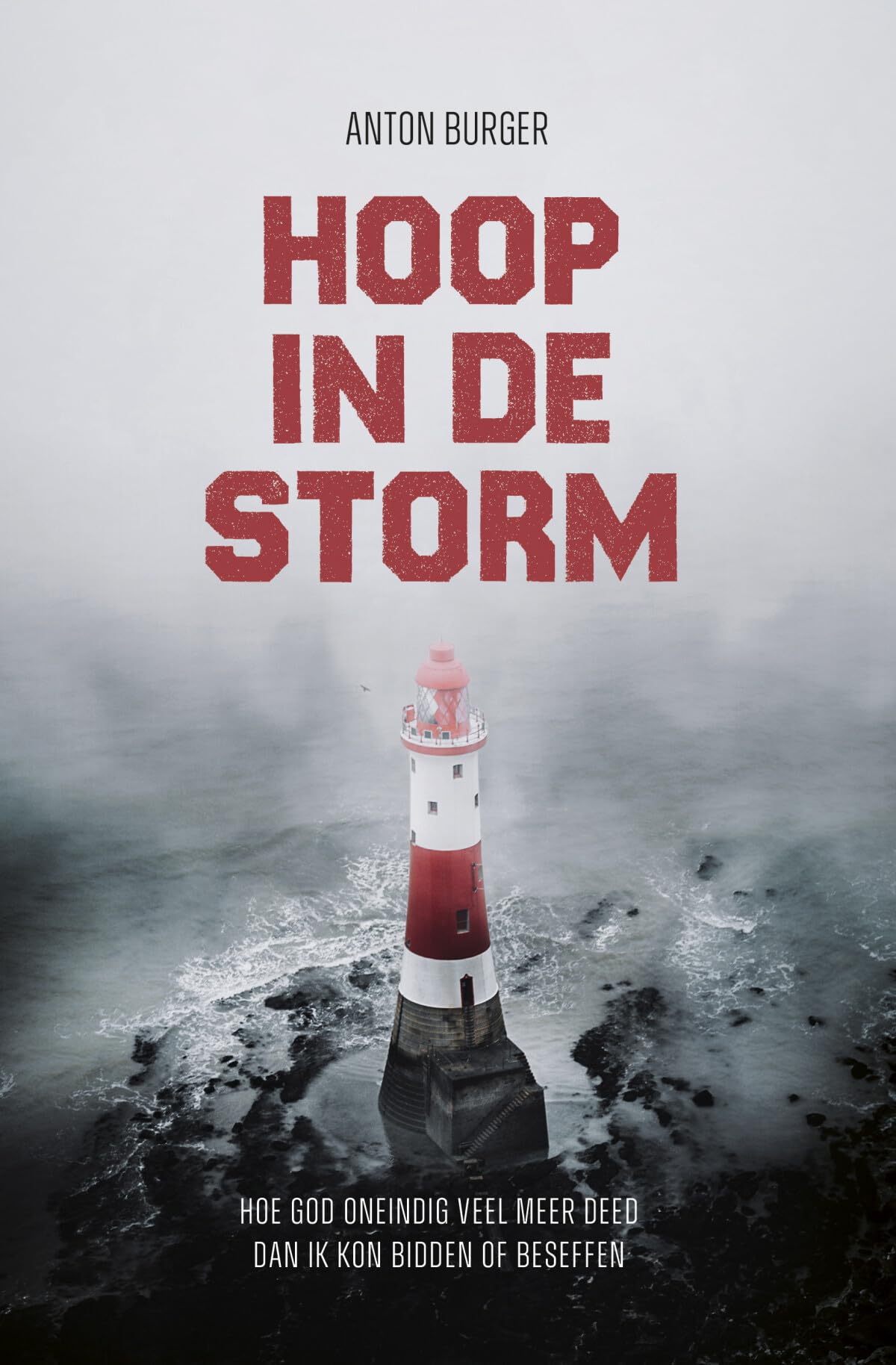 Hoop in de storm: Hoe God oneindig veel meer deed dan ik kon bidden of beseffen Politics & Society