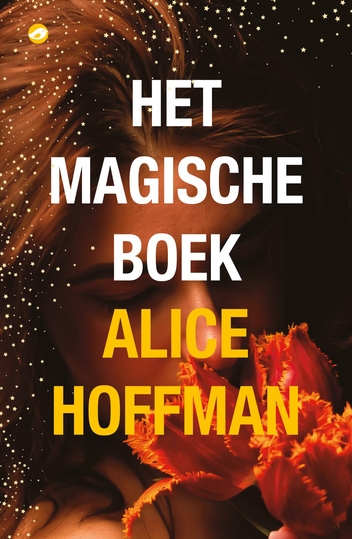 Het magische boek (Magische praktijken, 4) Contemporary literature