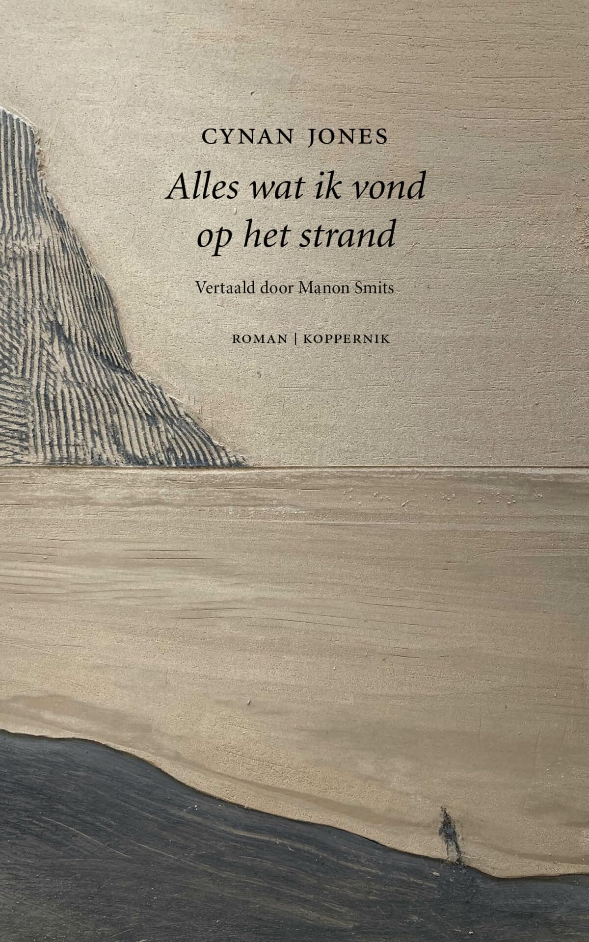 Alles wat ik vond op het strand: roman Contemporary literature