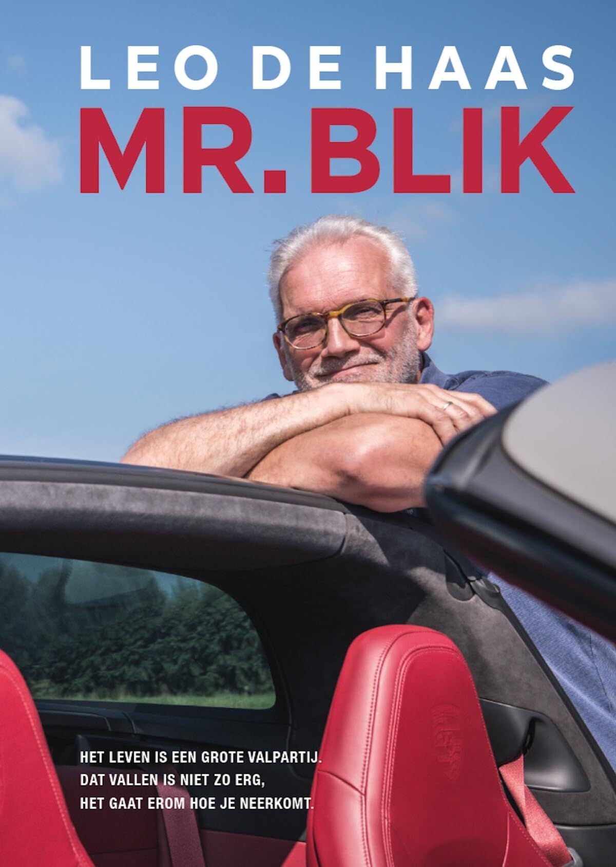 Mr. Blik: Het leven is een grote valpartij, dat vallen is niet zo erg, het gaat erom hoe je neerkomt book