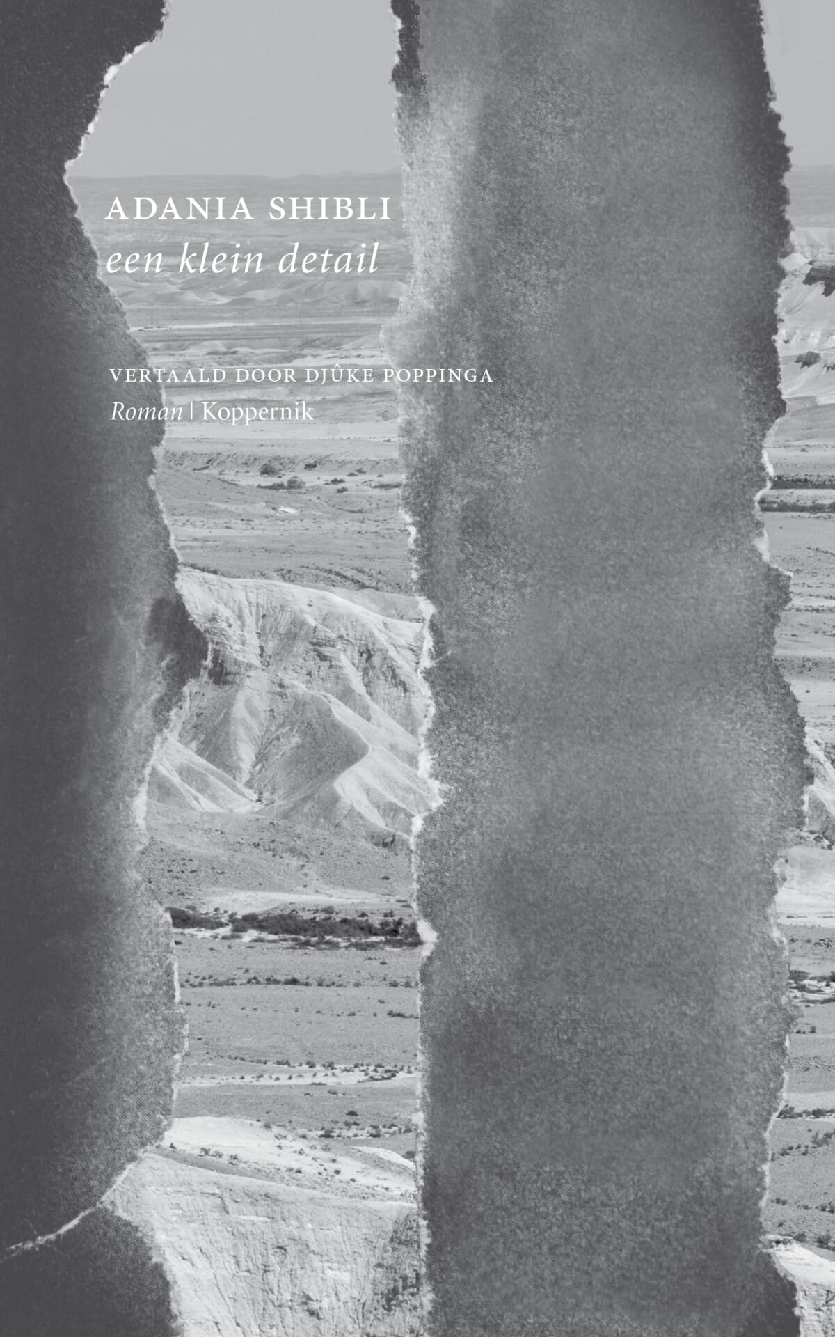 Een klein detail: roman book