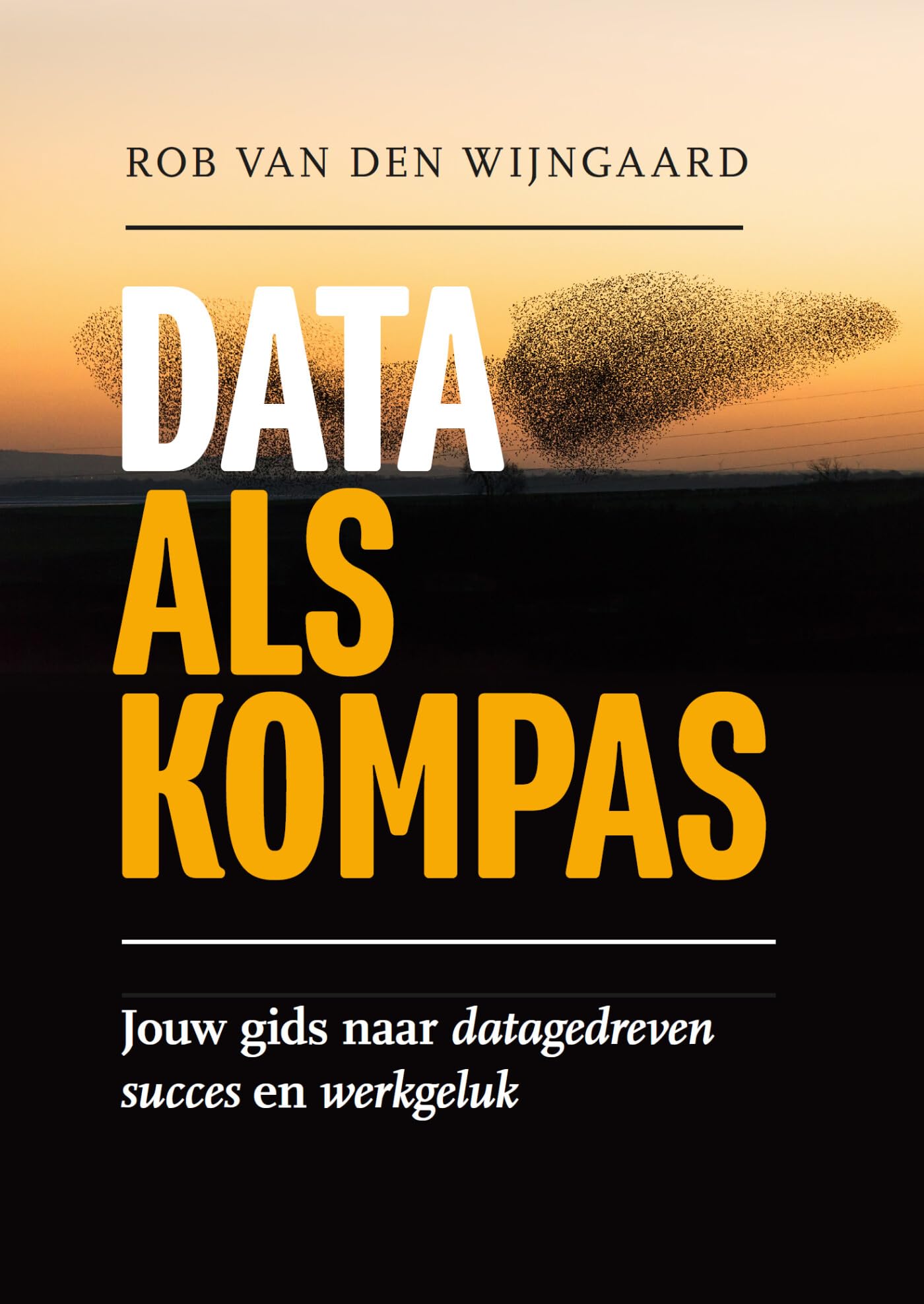 Data als kompas: jouw gids naar datagedreven succes en werkgeluk Business, Finance & Career