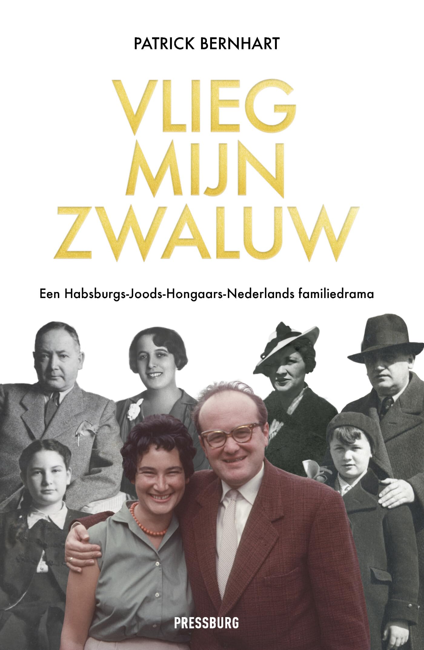 Vlieg, mijn zwaluw: Een Habsburgs-Joods-Hongaars-Nederlands familiedrama Art & Literature