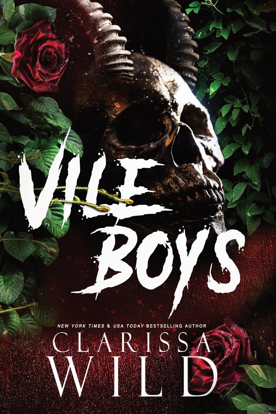 Vile Boys (Spine Ridge University, Band 3) Contemporary literature