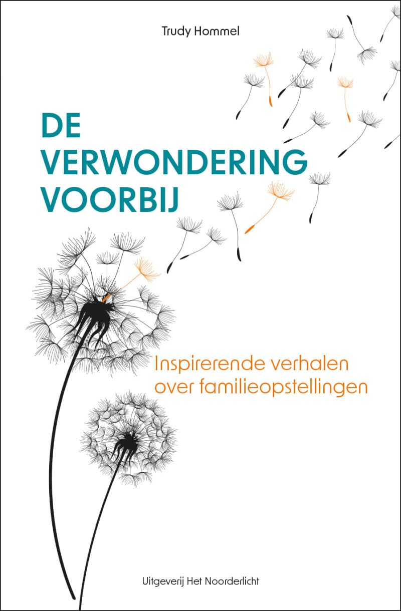 De verwondering voorbij: Inspirerende verhalen over familieopstellingen book