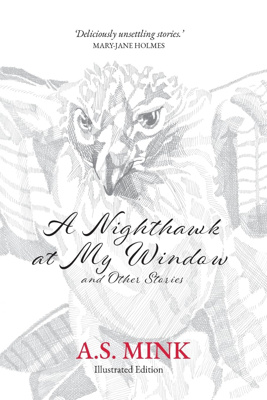 A Nighthawk at My Window and Other Stories (Illustrated Edition) Contemporary literature