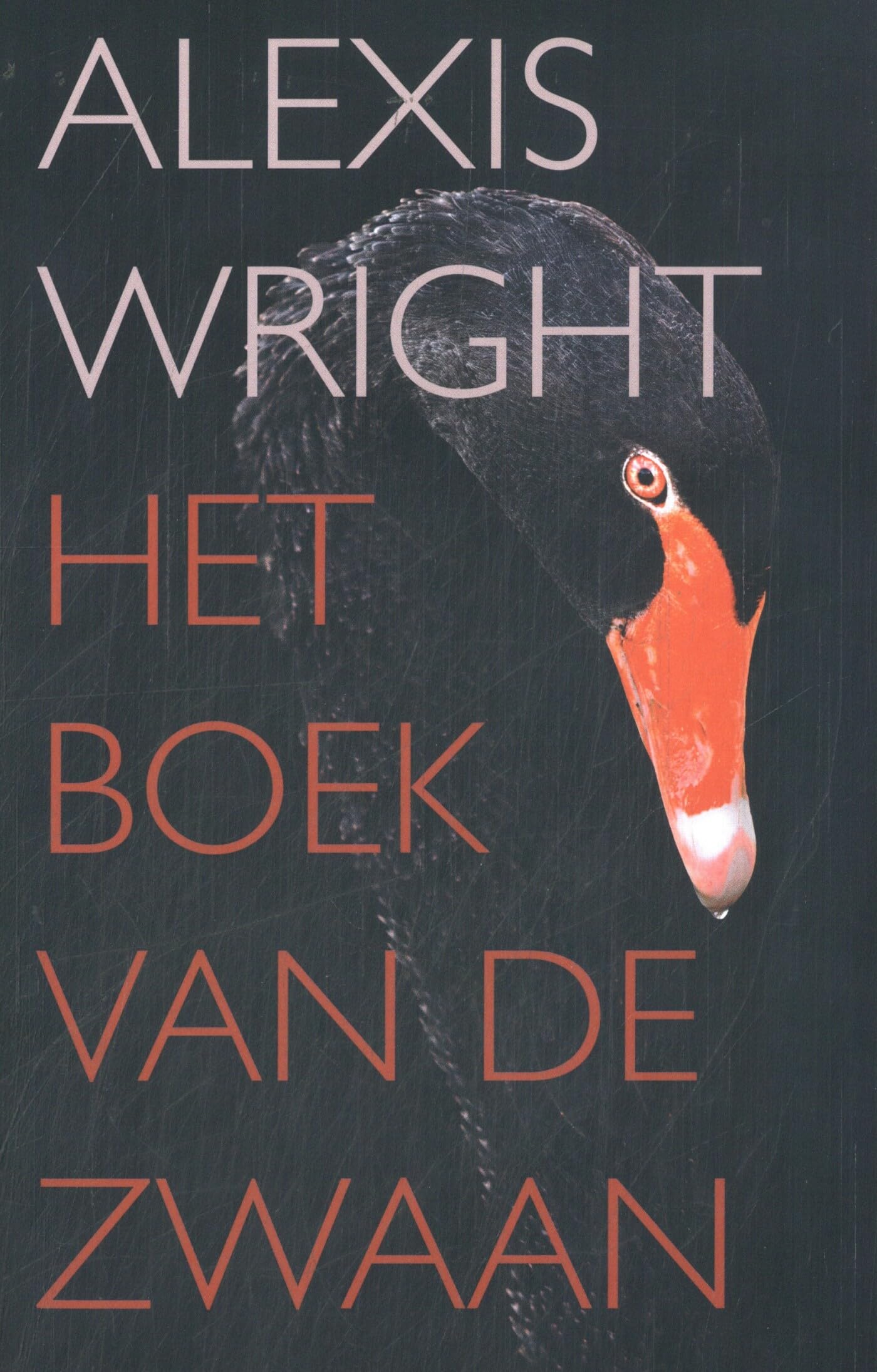 Het boek van de zwaan Contemporary literature Books