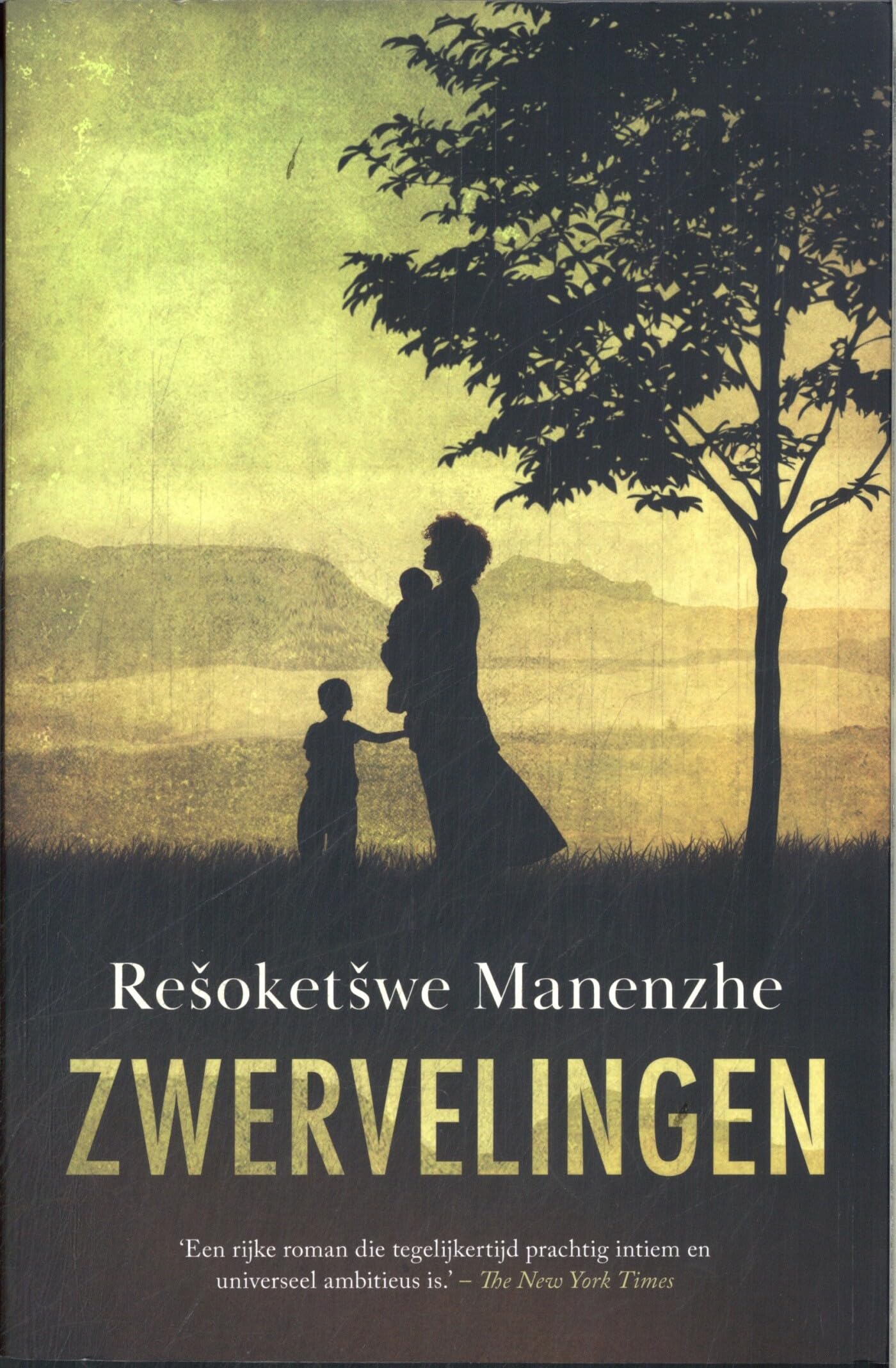 Zwervelingen Contemporary literature Books