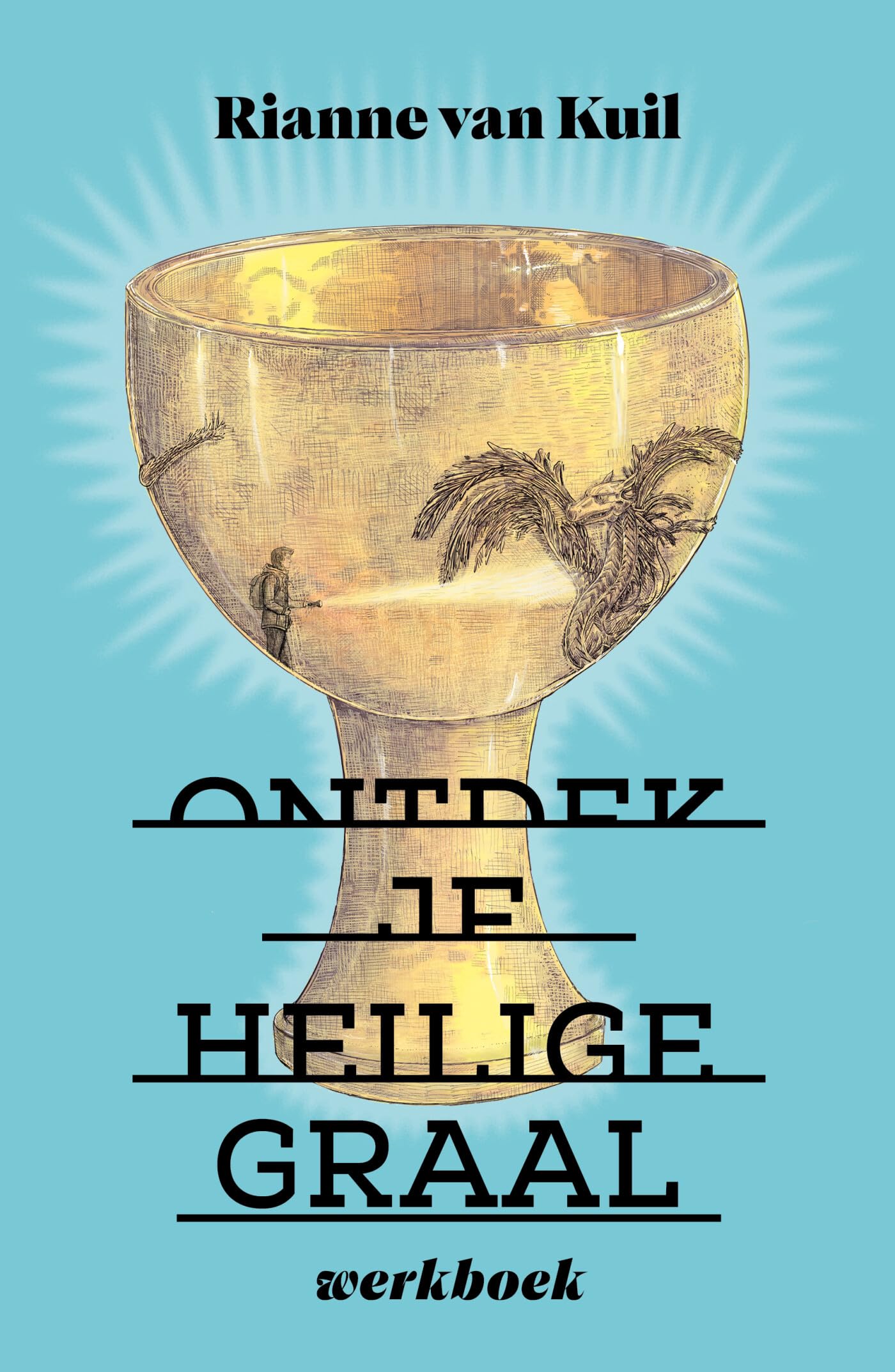 Ontdek je heilige graal Werkboek book