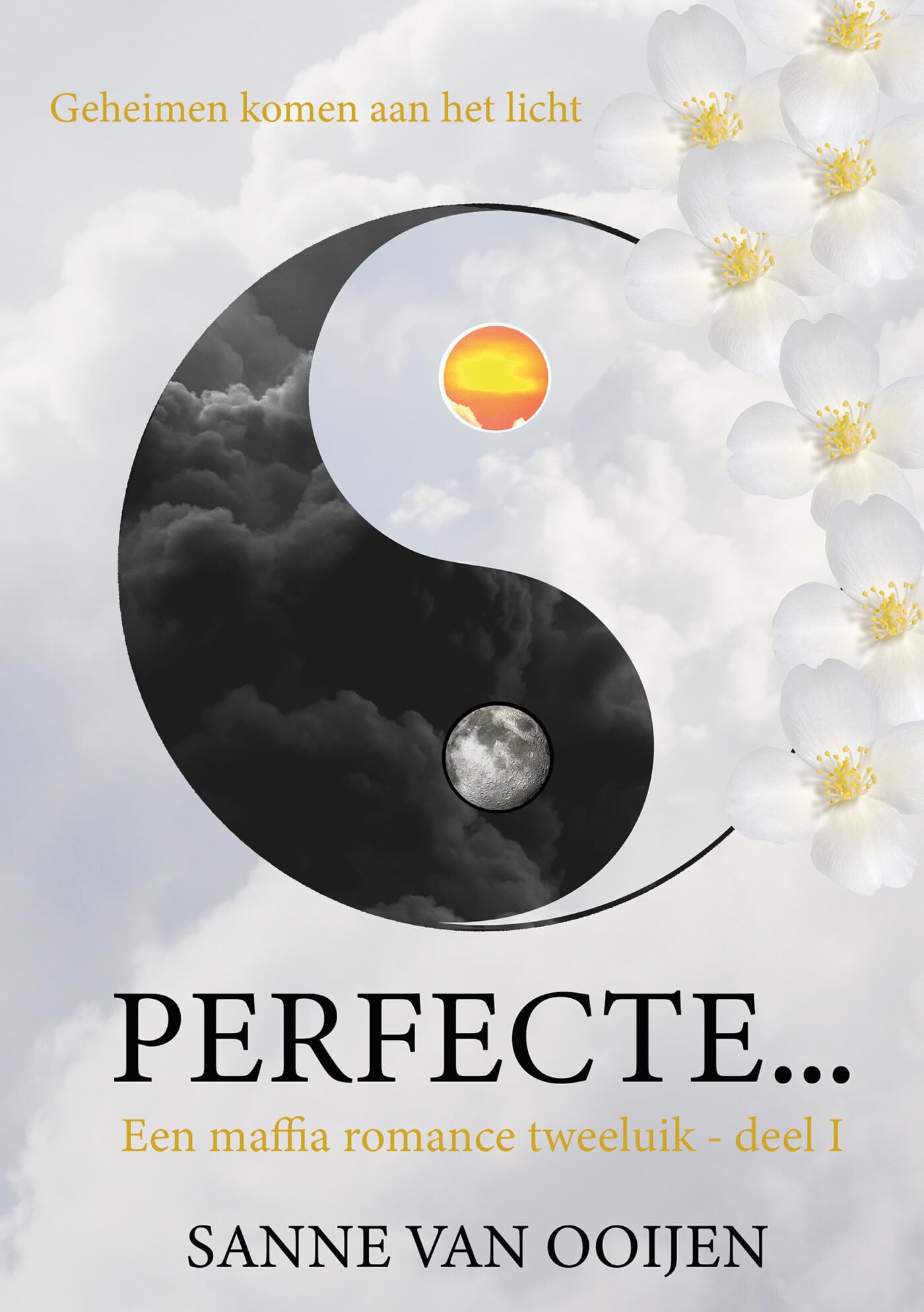 Perfecte... (Maffia tweeluik, 1) Contemporary literature
