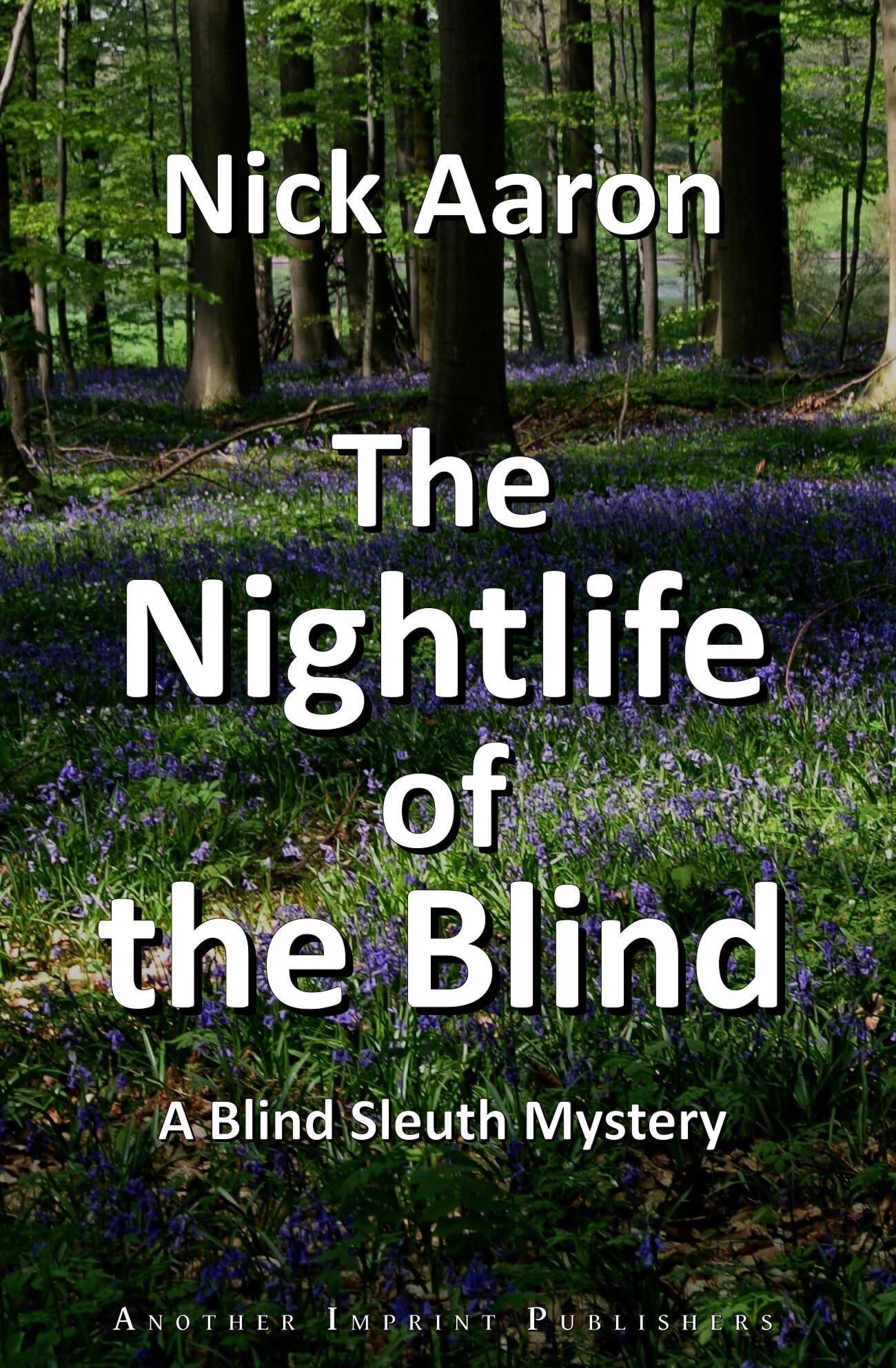 The Nightlife of the Blind Historical Fiction