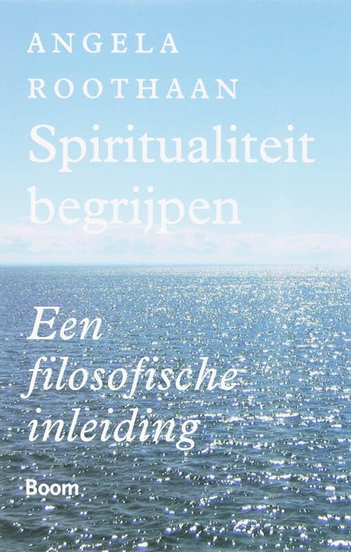 Spiritualiteit begrijpen: een filosofische inleiding book