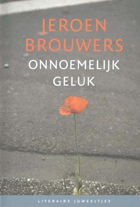 Onnoemelijk geluk Contemporary literature