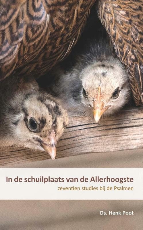 In de schuilplaats van de Allerhoogste: zeventien studies bij de Psalmen Social Sciences