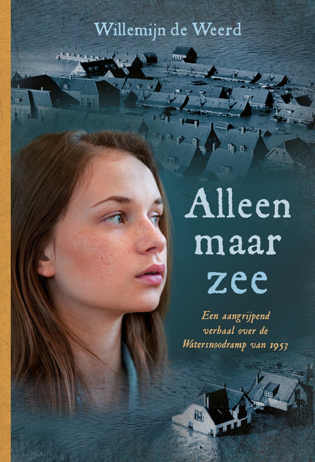 Alleen maar zee: een aangrijpend verhaal over de Watersnoodramp van 1953 book