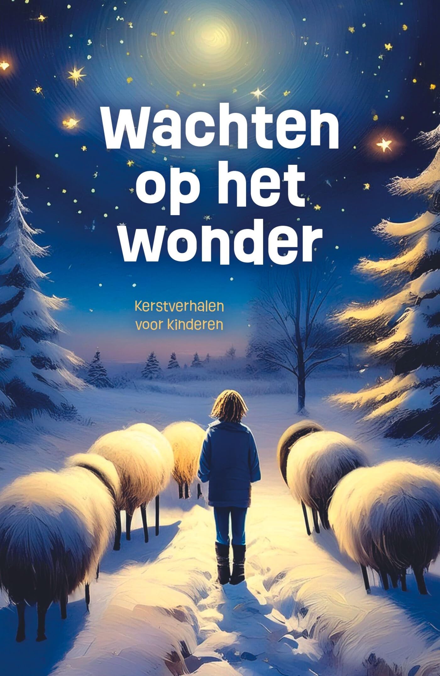 Wachten op het wonder: Kerstverhalen voor kinderen book