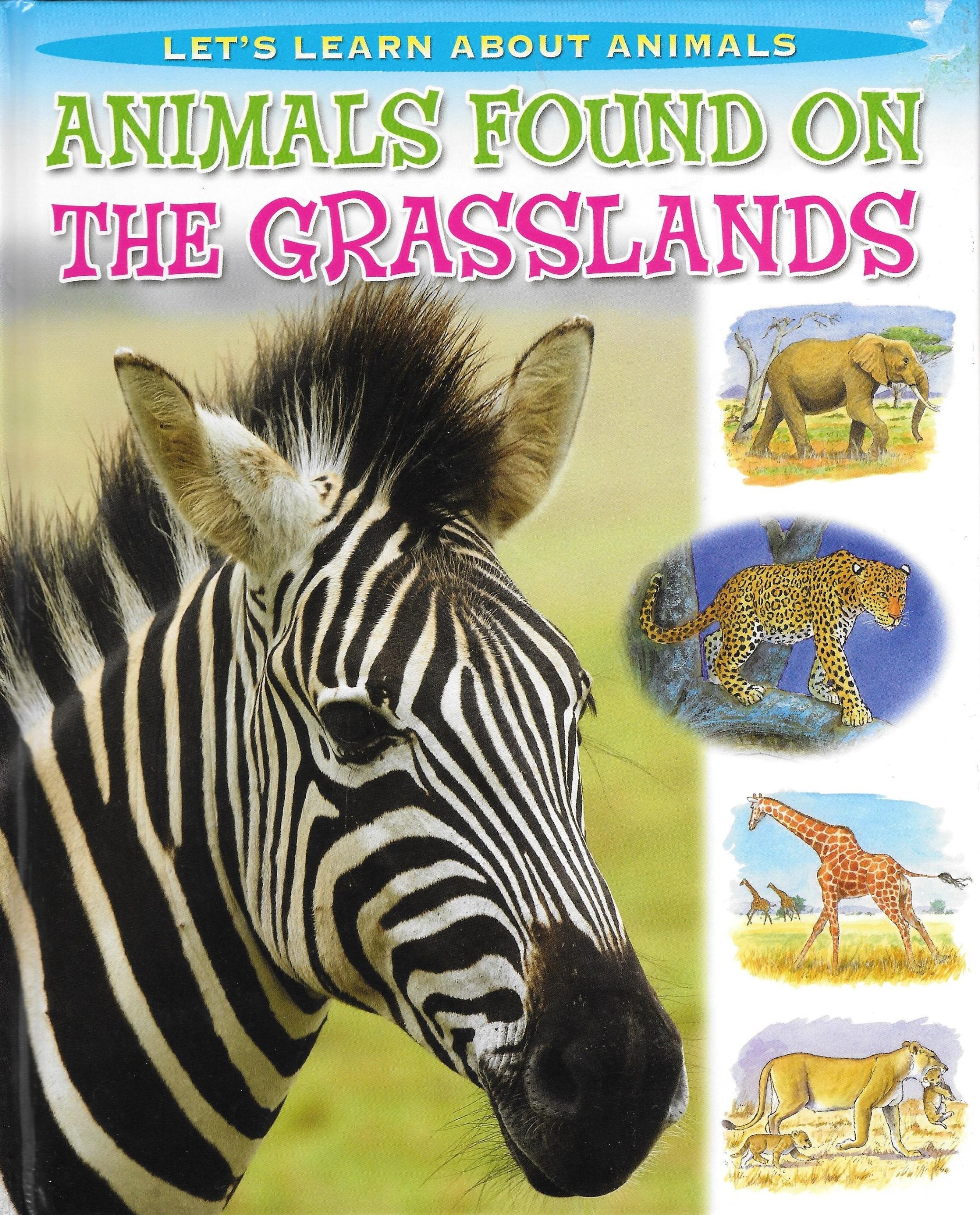 Premire dcouverte des animaux: animaux de la fort Books