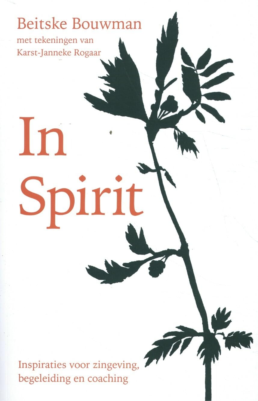 In Spirit: Inspiraties voor zingeving, begeleiding en coaching book