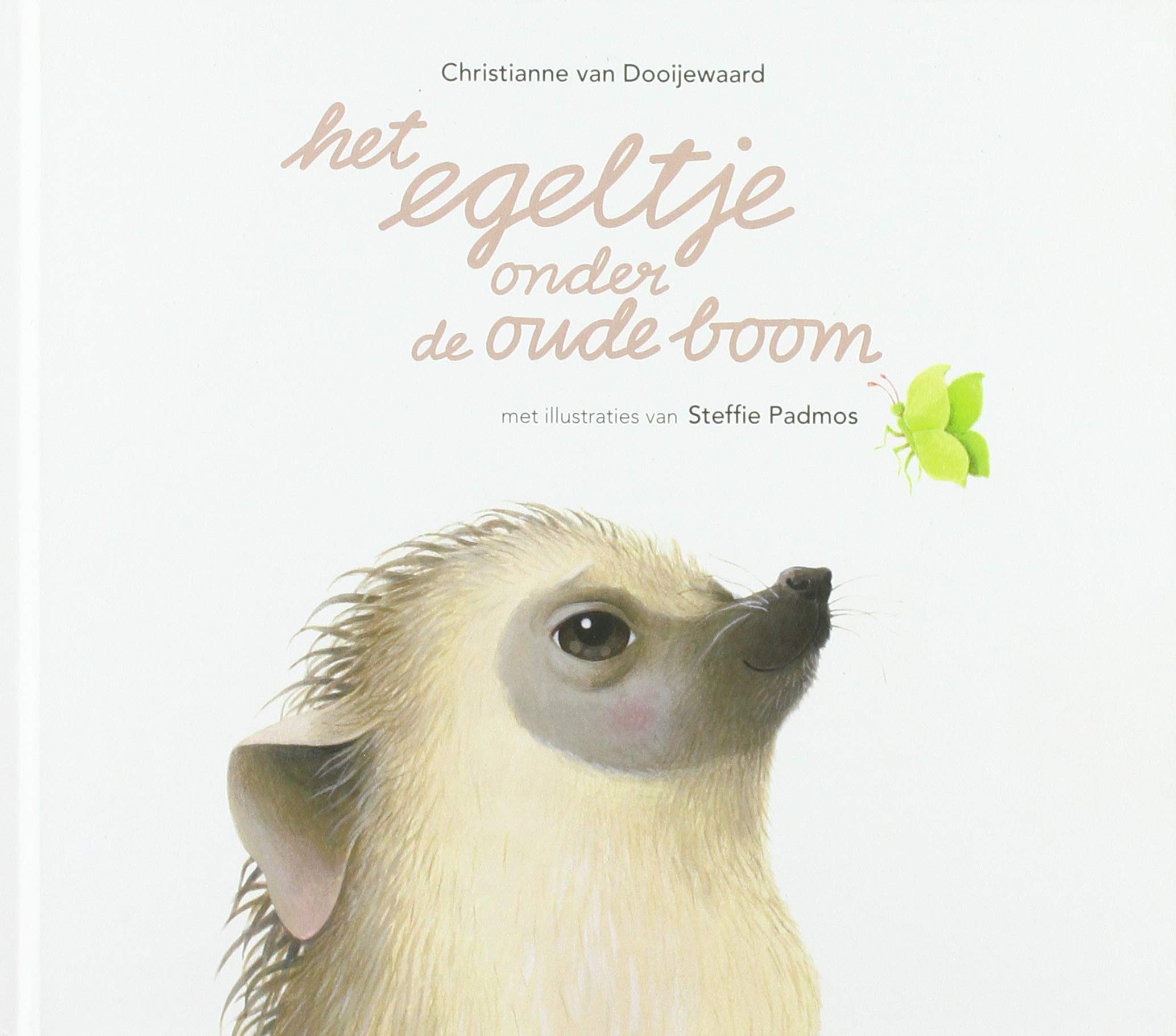 Het egeltje onder de oude boom book