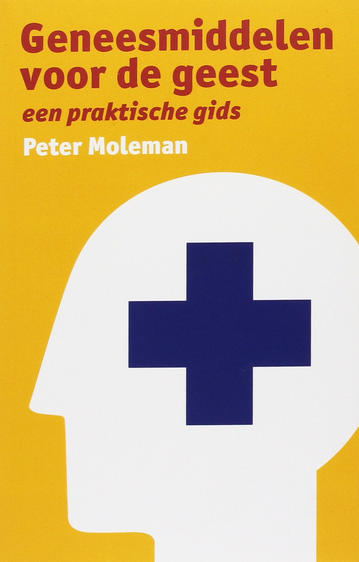 Geneesmiddelen voor de Geest: een praktische gids book