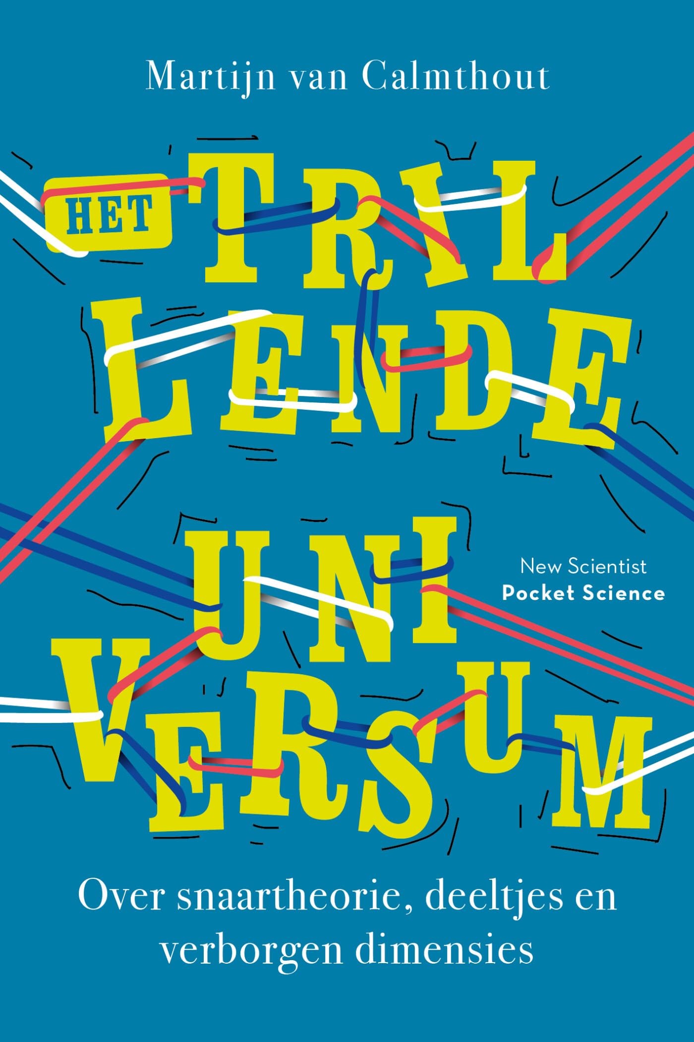 Het trillende universum: over snaartheorie, deeltjes en verborgen dimensies book