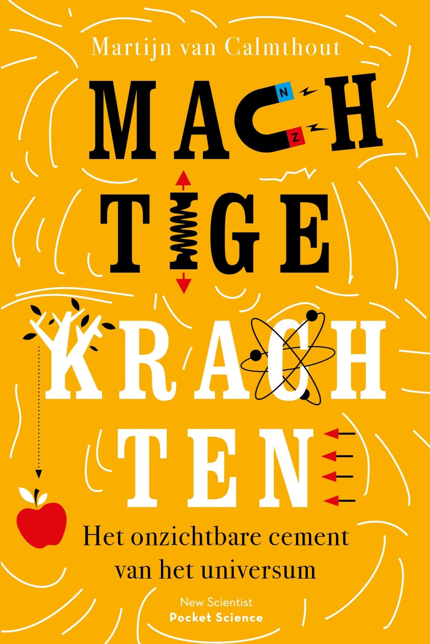 Machtige krachten: het onzichtbare cement van het universum (Pocket Science) Natural Sciences