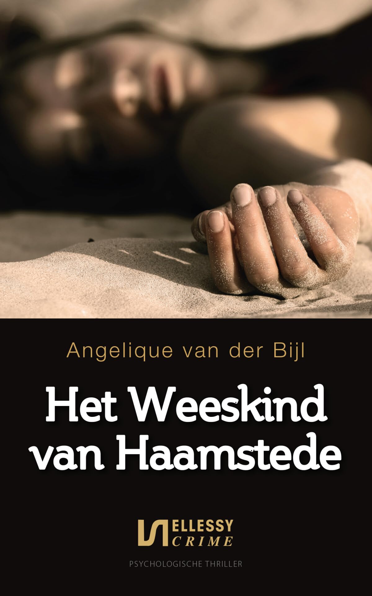 Het weeskind van Haamstede book
