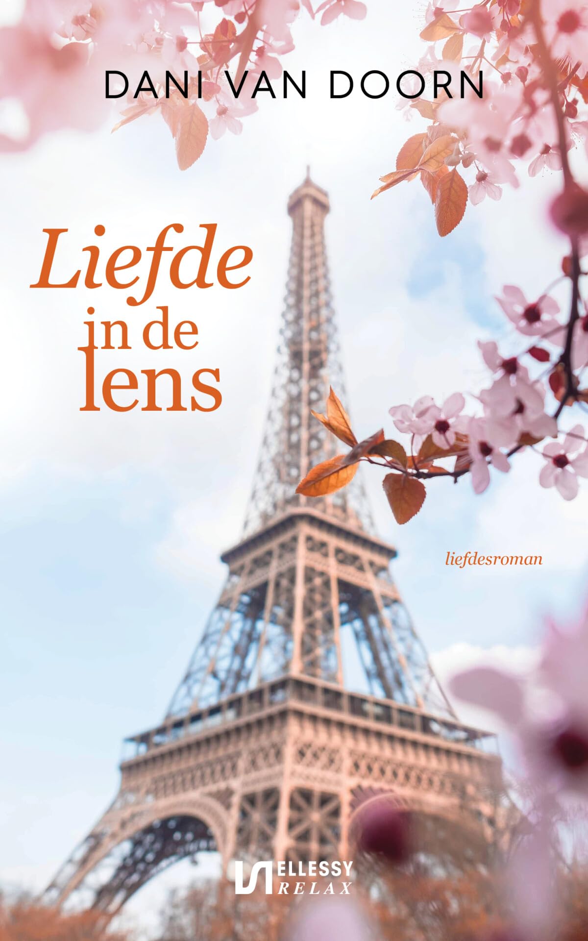 Liefde in de lens: liefdesroman book