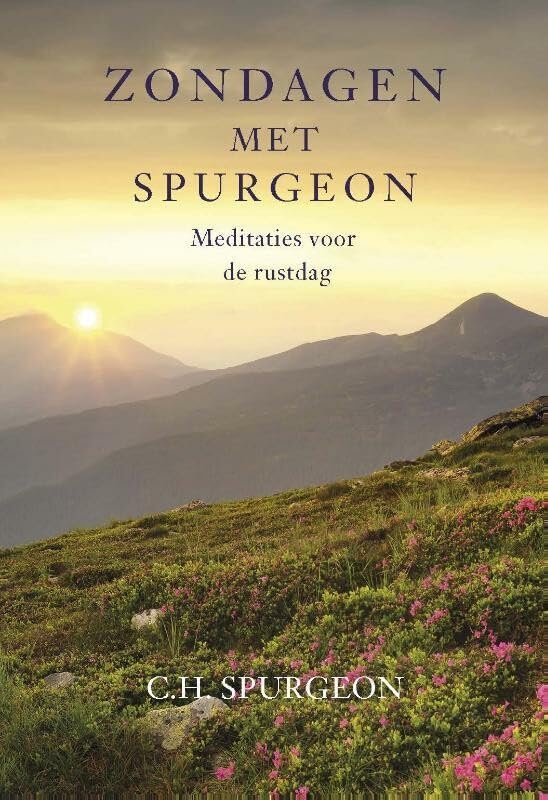 Zondagen met Spurgeon: Meditaties voor de rustdag book