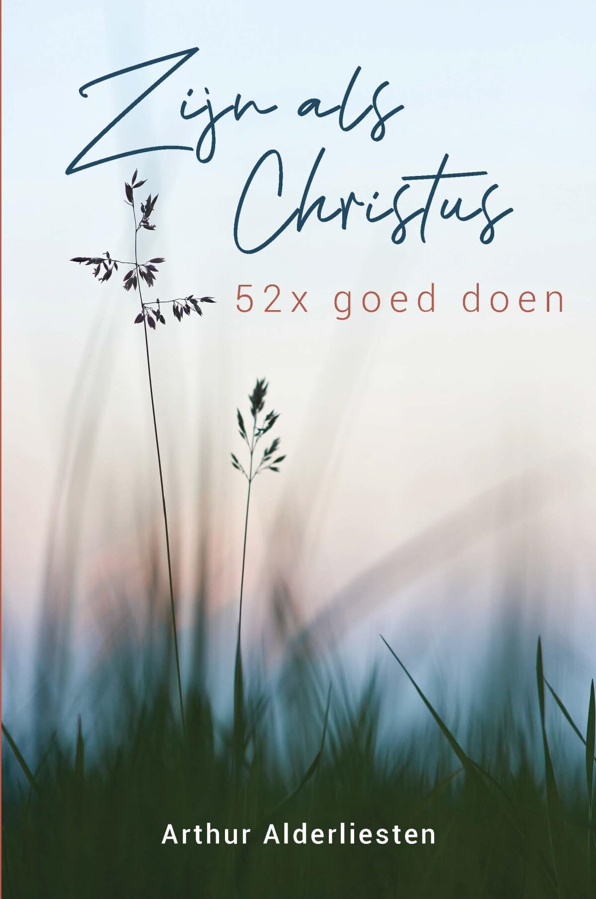 Zijn als Christus: 52 x goed doen book