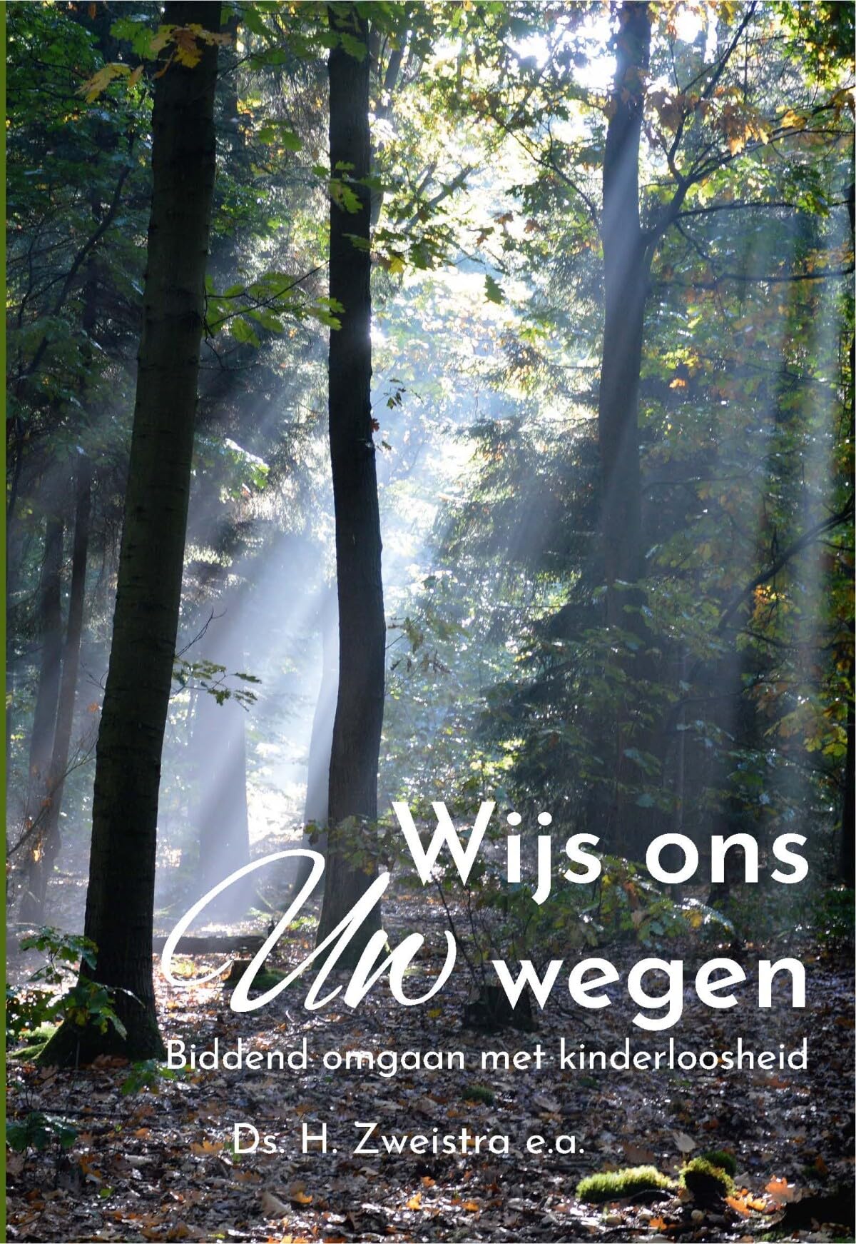 Wijs ons uw wegen: Biddend omgaan met kinderloosheid book
