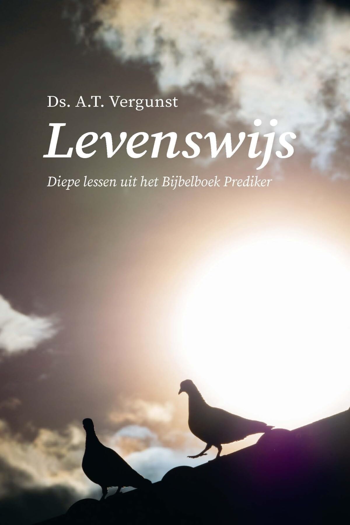 Levenswijs: Diepe lessen uit het Bijbelboek Prediker book