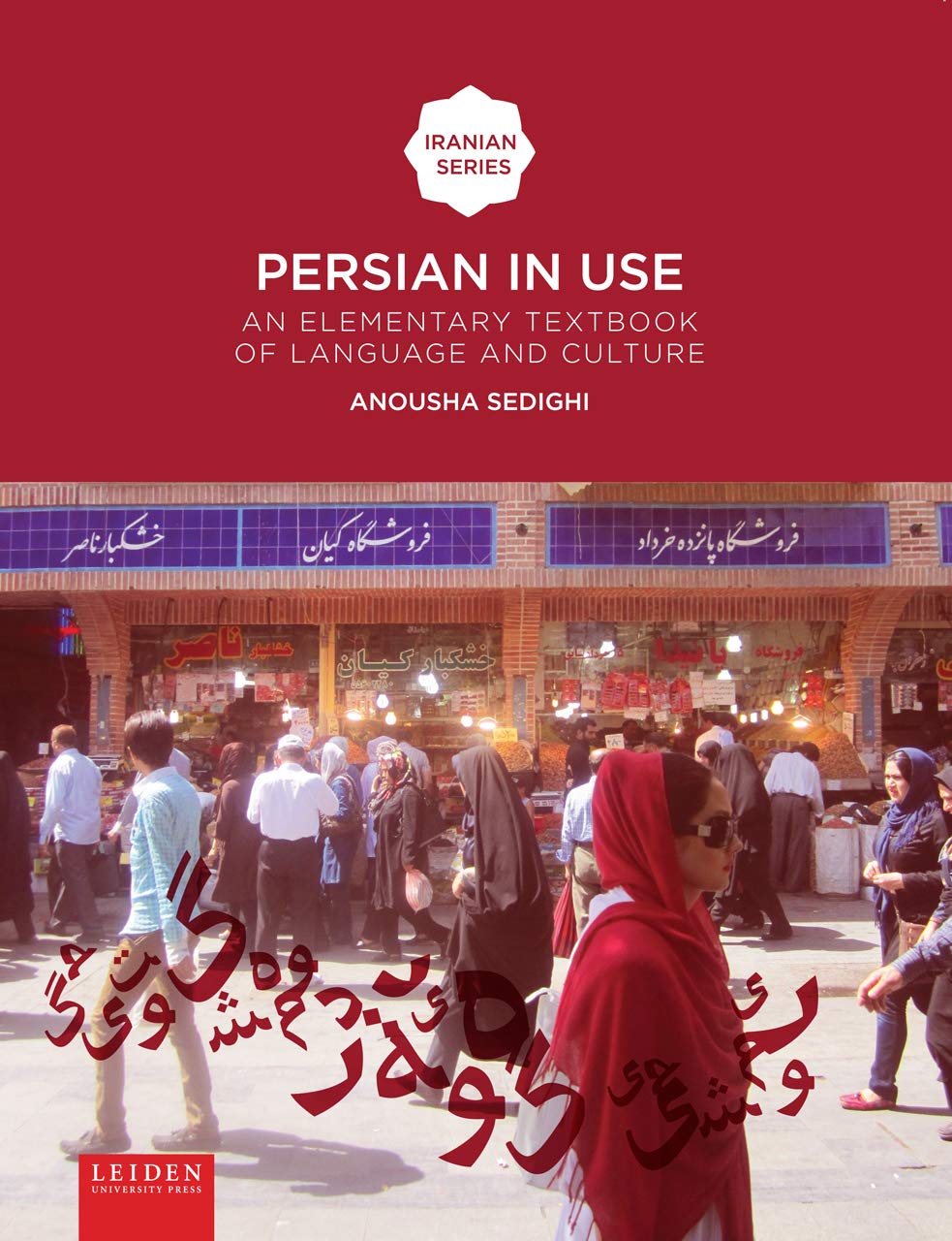 Persian in Use: An Elementary Textbook of Language and Culture (Iranian Studies) Social Sciences