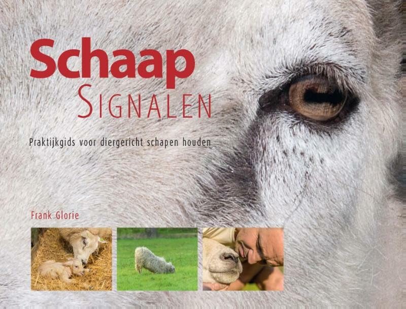 Schaapsignalen: praktijkgids voor diergericht schapen houden book