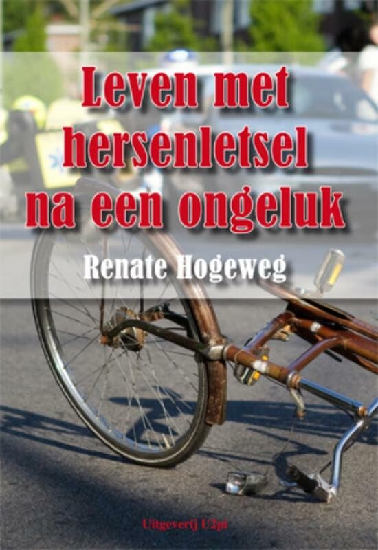 Leven met hersenletsel na een ongeluk book
